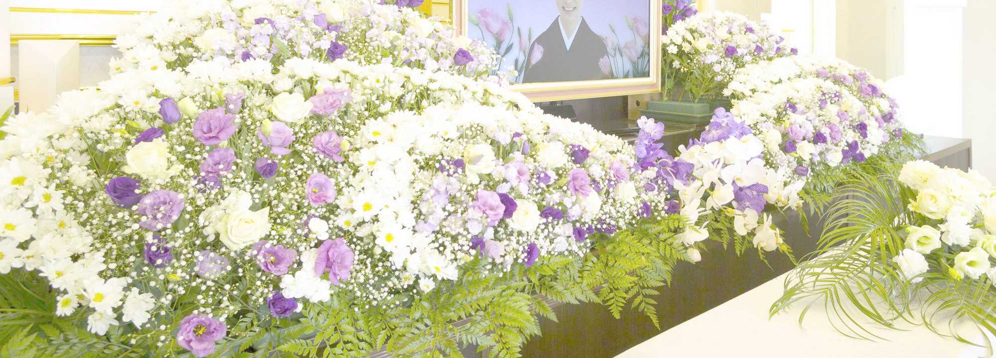 家族葬のトワーズ&reg; 株式会社トワーズ&reg; あおい葬祭 背景画像