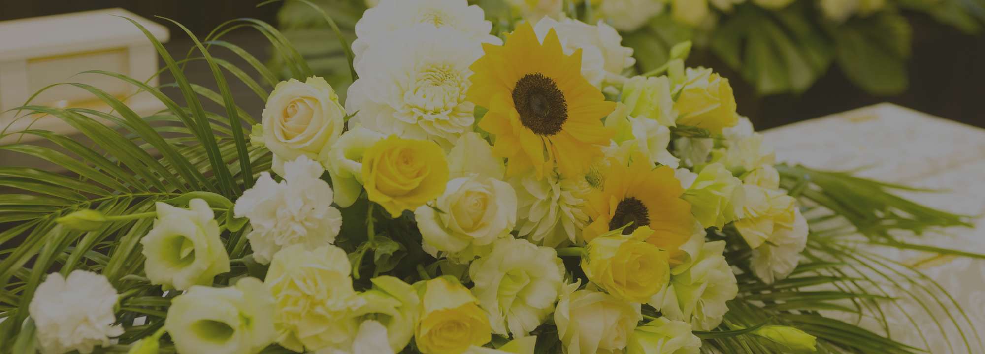 家族葬のトワーズ&reg; 株式会社トワーズ&reg; あおい葬祭 リクルート専用サイト背景