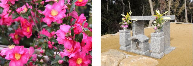 家族葬のトワーズ&reg; 株式会社トワーズ&reg; あおい葬祭 樹木供養「千本山茶花」提供開始