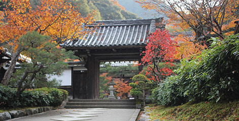 静岡･愛知の葬儀・葬式・家族葬をお探しなら家族葬のトワーズ&reg; 寺院紹介サービスイメージ画像
