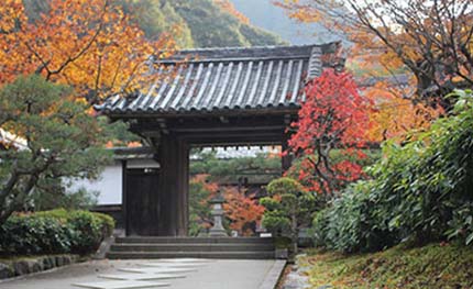 静岡･愛知の葬儀・葬式・家族葬をお探しなら家族葬のトワーズ&reg; 寺院紹介サービスイメージ画像