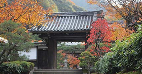 静岡･愛知の葬儀・葬式・家族葬をお探しなら家族葬のトワーズ&reg; 寺院紹介サービス